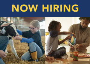 Now Hiring